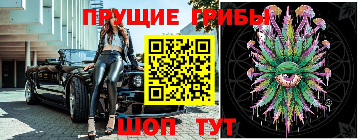 Псилоцибиновые грибы мицелий Курчатов