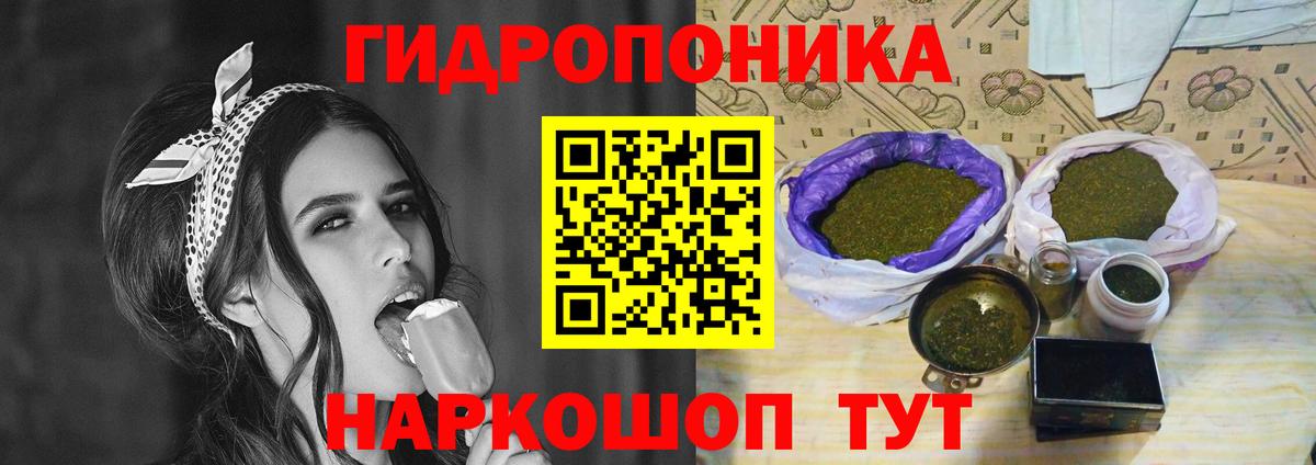 Канабис гибрид Курчатов